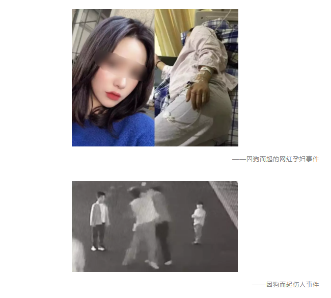 為什么不買(mǎi)保險(xiǎn)就不讓養(yǎng)狗？