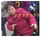 為什么不買(mǎi)保險(xiǎn)就不讓養(yǎng)狗？