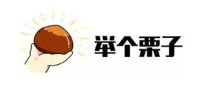 什么是年金轉(zhuǎn)換？