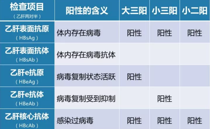 乙肝病毒攜帶者應(yīng)該如何正確投保？