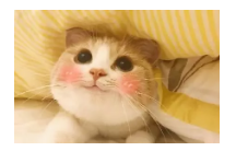 到底什么是保單貼現(xiàn)？