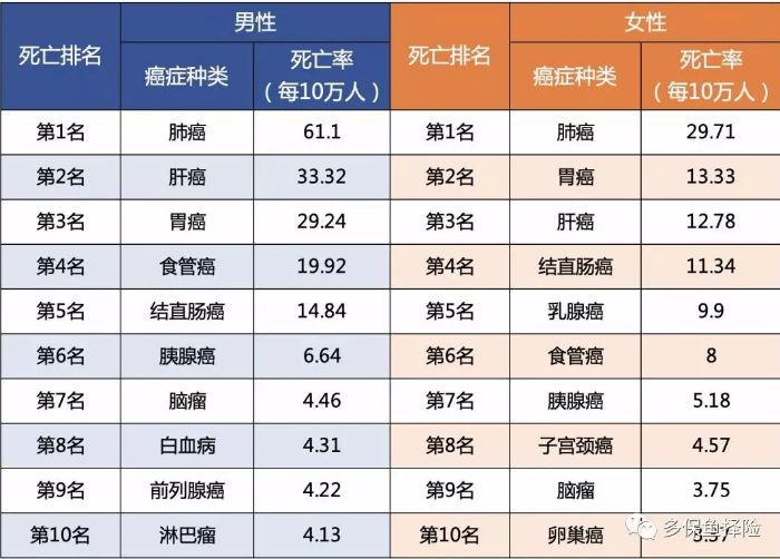 女性高發(fā)重疾怎么選？