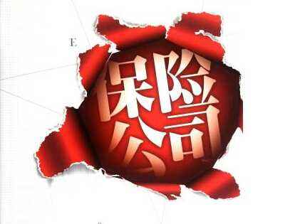 保險(xiǎn)公司償付能力怎么衡量 在哪里查詢(xún)？